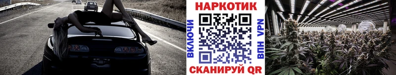 Наркошоп Можга Метамфетамин  мега маркетплейс  Псилоцибиновые грибы  Меф  Бошки Шишки  Cocaine 