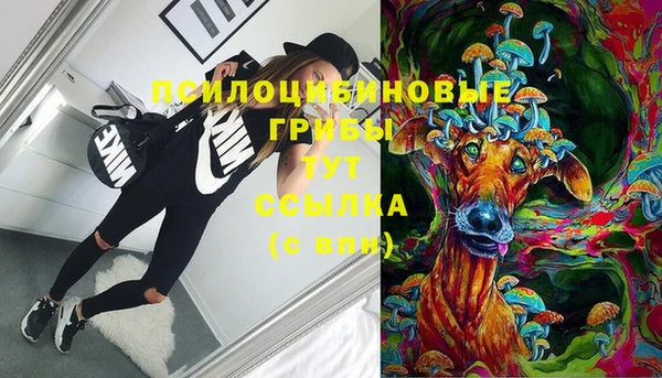 mix Арсеньев