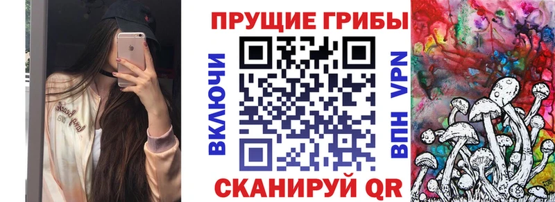 Псилоцибиновые грибы ЛСД  продажа наркотиков  МЕГА ссылки  Можга 