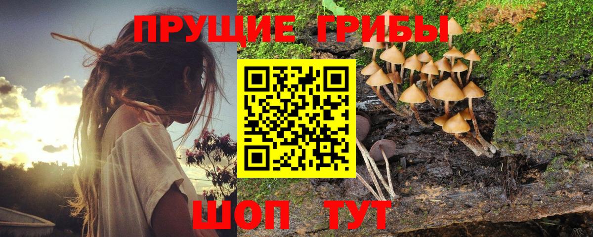 Галлюциногенные грибы прущие грибы Можга